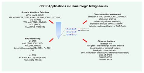 dpcr meaning|Digital PCR: A Reliable Tool for Analyzing and Monitoring Hematologic.